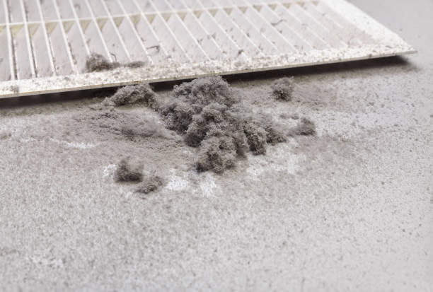 Best Air Duct Cleaning Near Me  in Cricket, NC